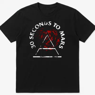 Graphic illustration of a red rose in a triangle with band name below