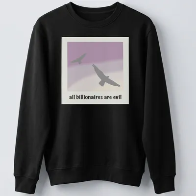 Minimalist design featuring birds around the text 'all billionaires are evil' in gray, purple, and cream. — printed on a unisex sweatshirt