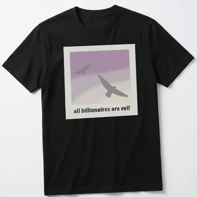 Minimalist design featuring birds around the text 'all billionaires are evil' in gray, purple, and cream.