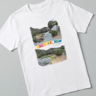 Colorful illustration of a scenic landscape depicting water and rocks with text "ANGOURIE, NSW"