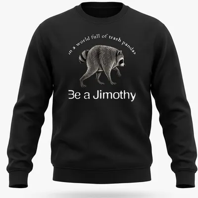 Vintage-style t-shirt featuring a raccoon and the phrase Be a Jimothy in grey and black — printed on a unisex sweatshirt