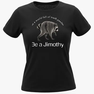 Vintage-style t-shirt featuring a raccoon and the phrase Be a Jimothy in grey and black — printed on a women's shirt