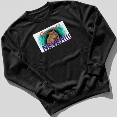 Ironic grunge tee featuring a defiant capybara and bold text — printed on a unisex sweatshirt