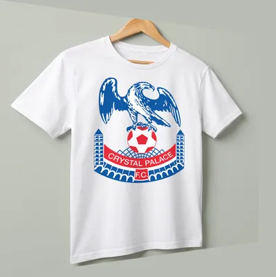 Bold Crystal Palace F.C. t-shirt featuring an eagle emblem and club name — printed on a unisex t-shirt (angled view)