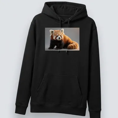 Realistic illustration of a cute red panda in orange, black, white, and brown tones — printed on a unisex hoodie