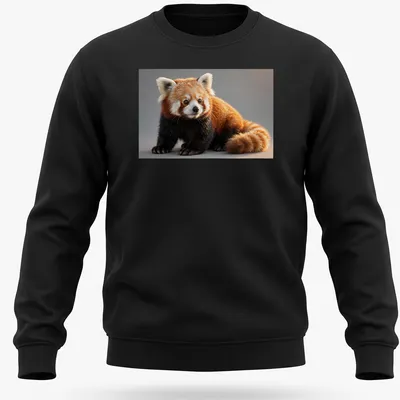 Realistic illustration of a cute red panda in orange, black, white, and brown tones — printed on a unisex sweatshirt
