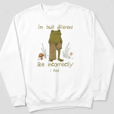 Cartoon frog illustration with humorous text about being different — printed on a unisex sweatshirt