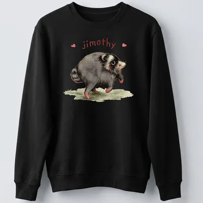Watercolor print of a cute raccoon named Jimothy with playful text. — printed on a unisex sweatshirt