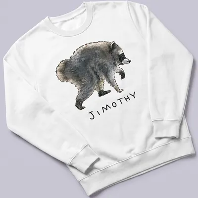 Watercolor raccoon design with playful text 'JIMOTHY' in gray and black tones. — printed on a unisex sweatshirt
