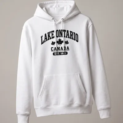 Vintage distressed Lake Ontario t-shirt with bold lettering — printed on a unisex hoodie