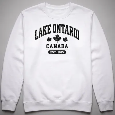 Vintage distressed Lake Ontario t-shirt with bold lettering — printed on a unisex sweatshirt