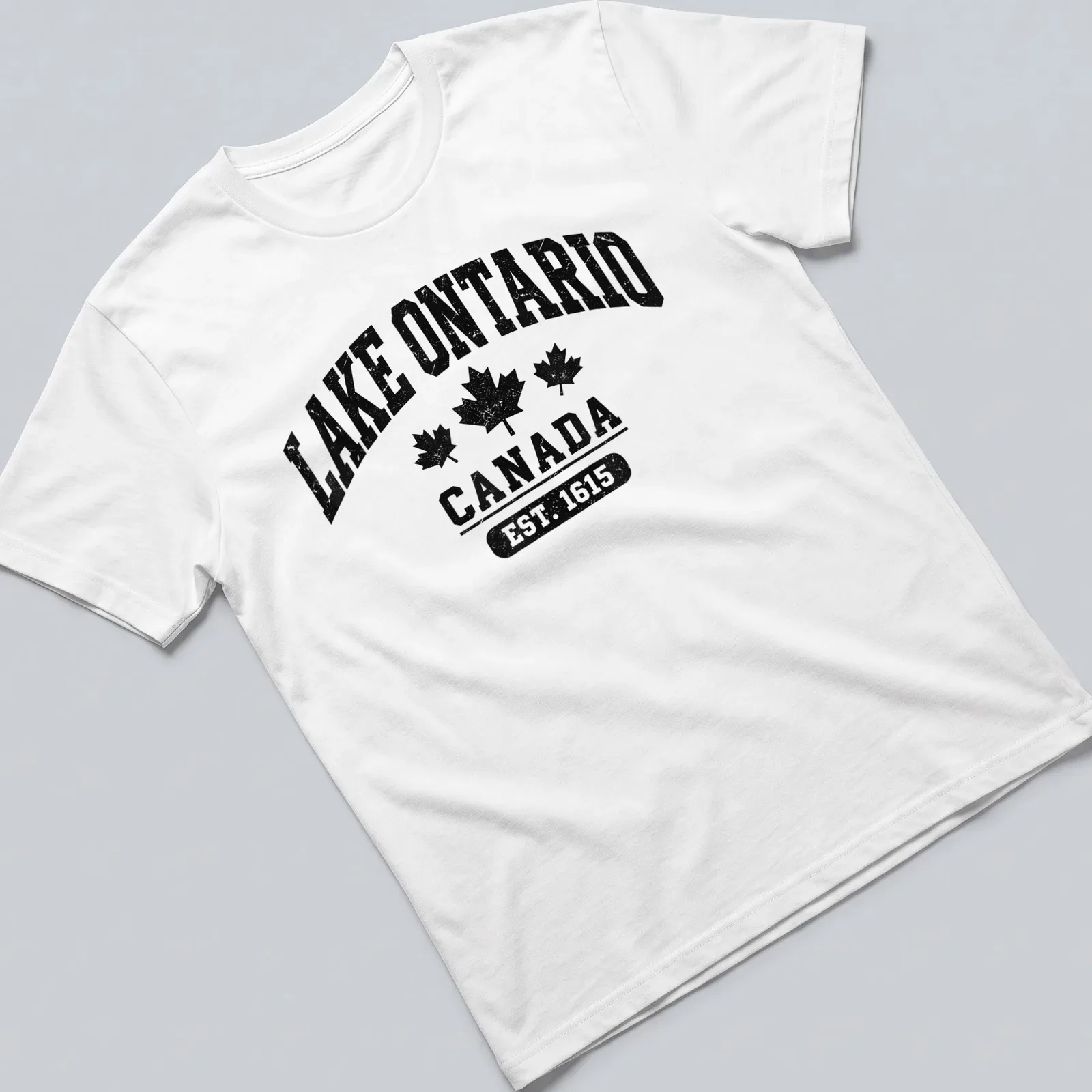 Vintage distressed Lake Ontario t-shirt with bold lettering — printed on a unisex t-shirt