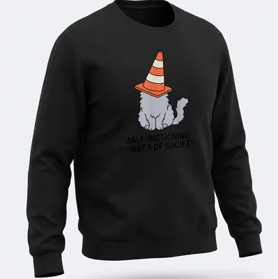Cartoon cat with traffic cone hat and humorous text about society's norms — printed on a unisex sweatshirt