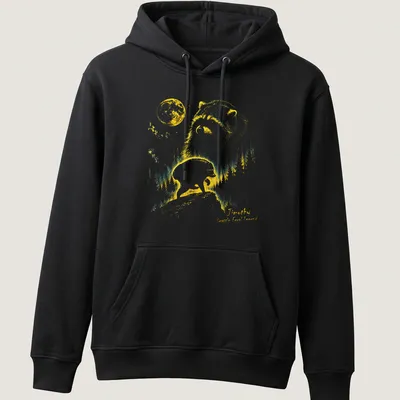 Retro T-shirt featuring a raccoon under a crescent moon with playful text. — printed on a unisex hoodie