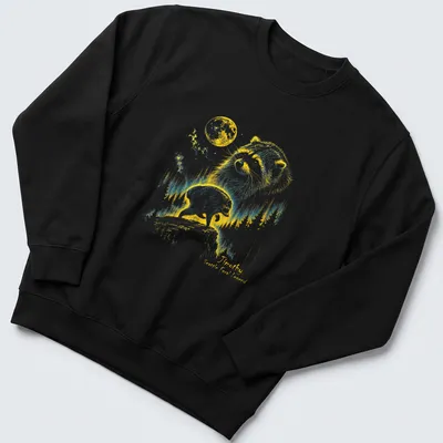 Retro T-shirt featuring a raccoon under a crescent moon with playful text. — printed on a unisex sweatshirt